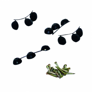 Drain Plugs & Nails Set